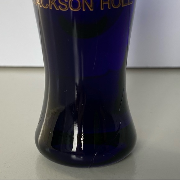 Jackson Hole Shot Glass Wyoming WY Cobalt Blue Shot Glass Teton Village Gondola - Picture 7 of 13